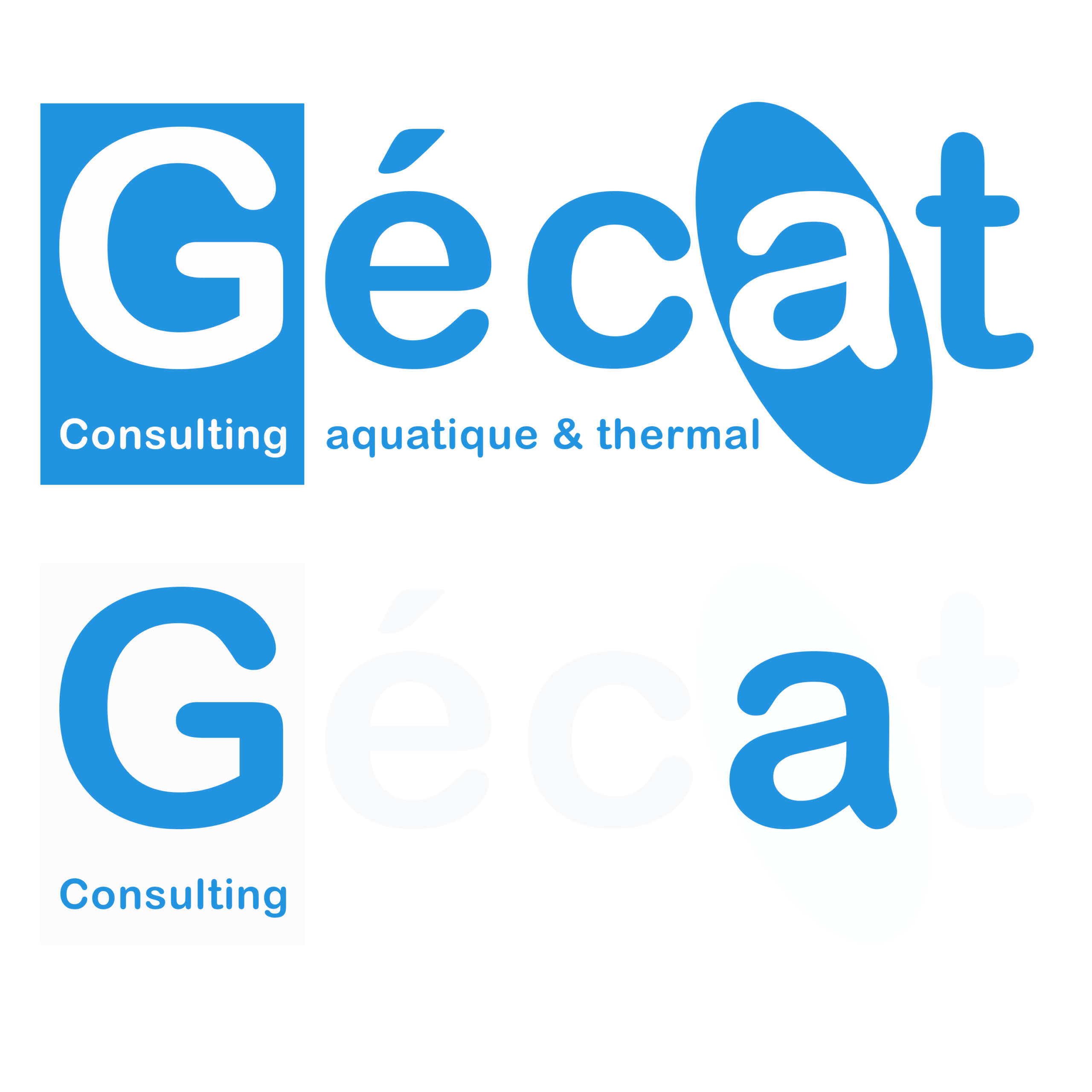 GéCAT