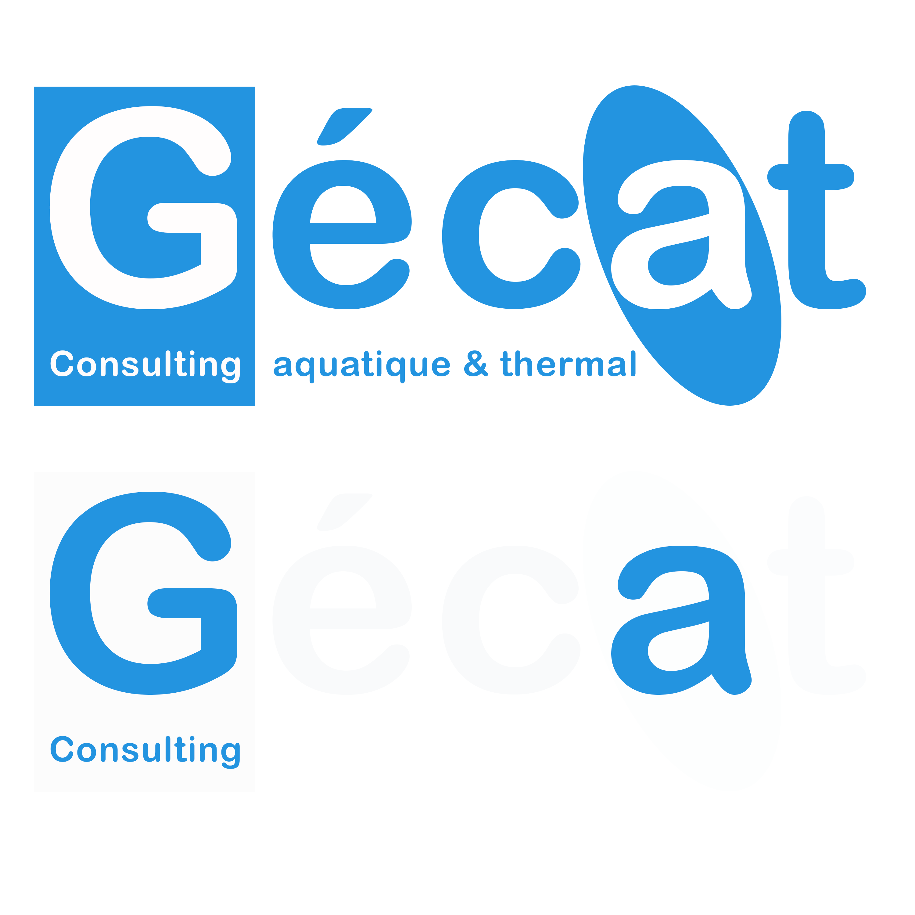 GéCAT